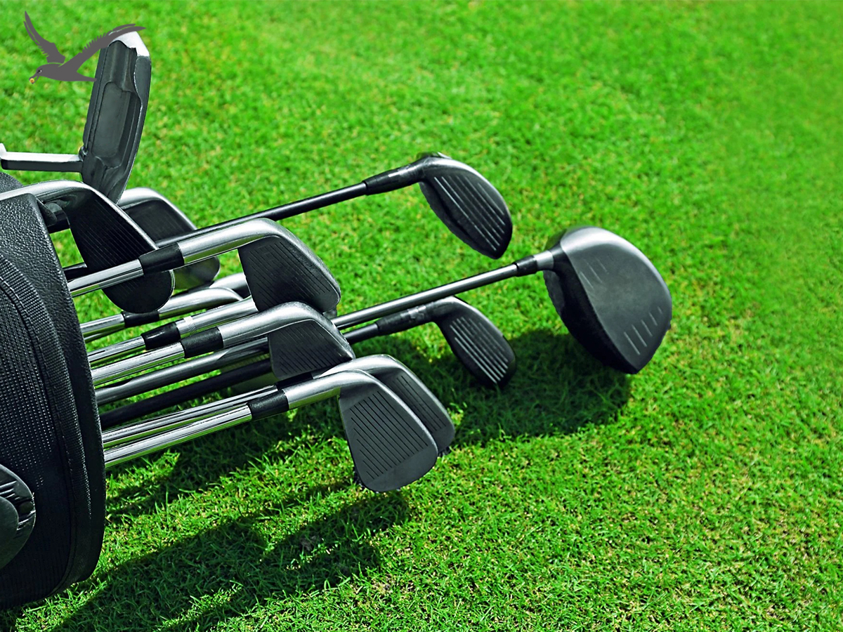 Tentang Golf Club Gelar