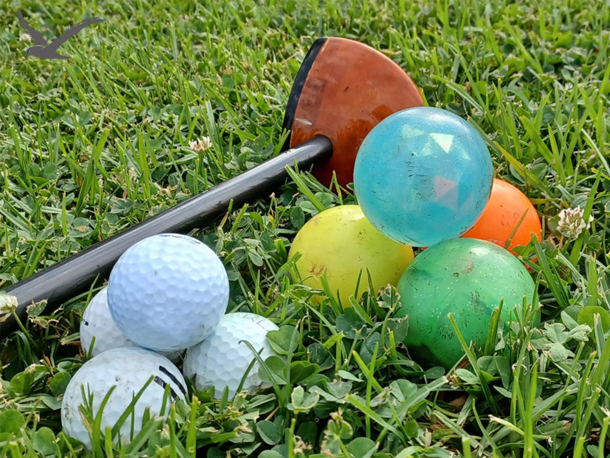 Keragaman bola golf taman